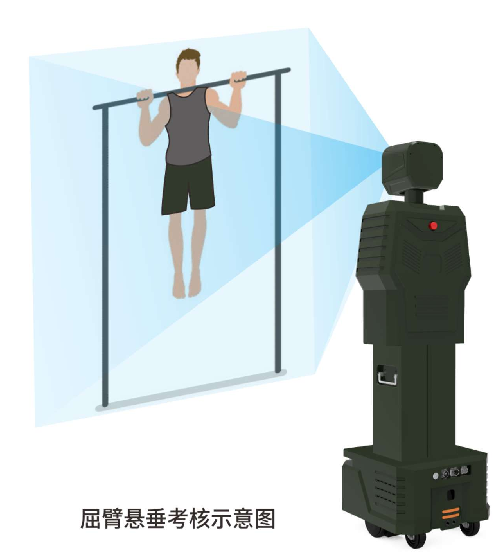 曲臂悬垂.png
